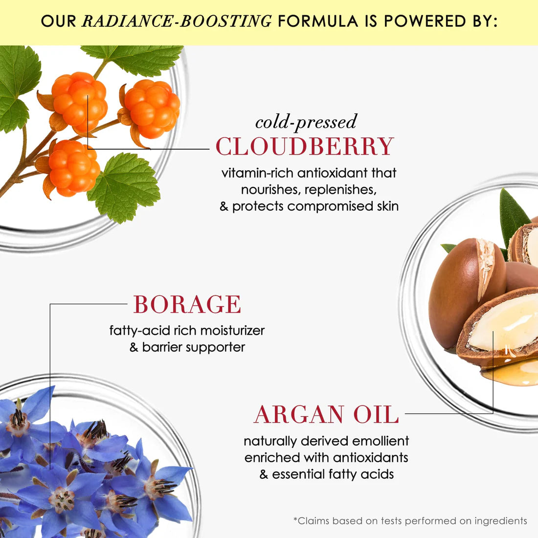 Rapid Repair Radiance Remedy Oil